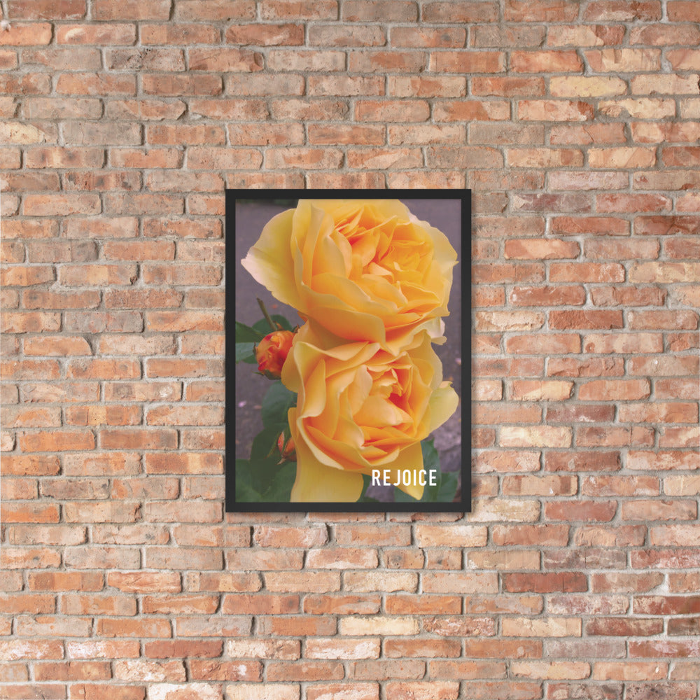 Rejoice Yellow Rose Framed Poster