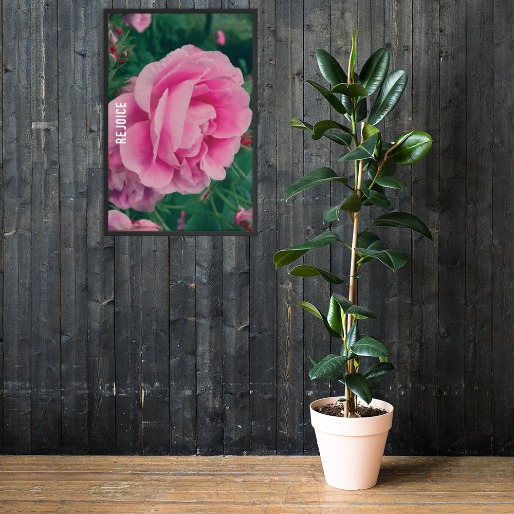 Rejoice Pink Rose Framed Poster