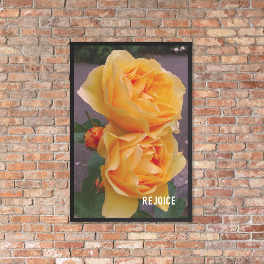 Rejoice Yellow Rose Framed Poster