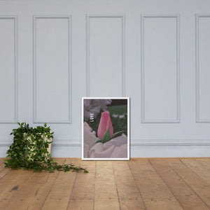 Love Pink Rose Framed Poster