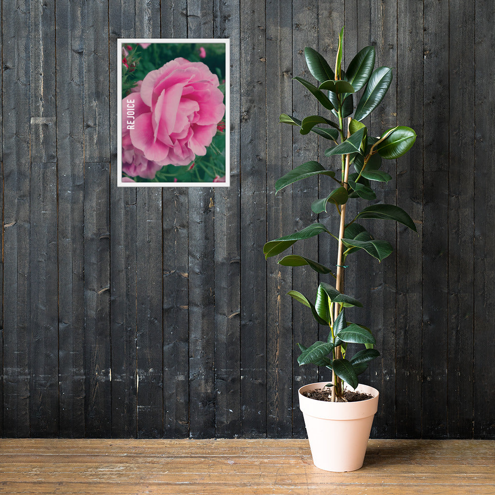 Rejoice Pink Rose Framed Poster