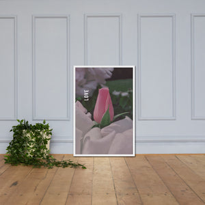 Love Pink Rose Framed Poster