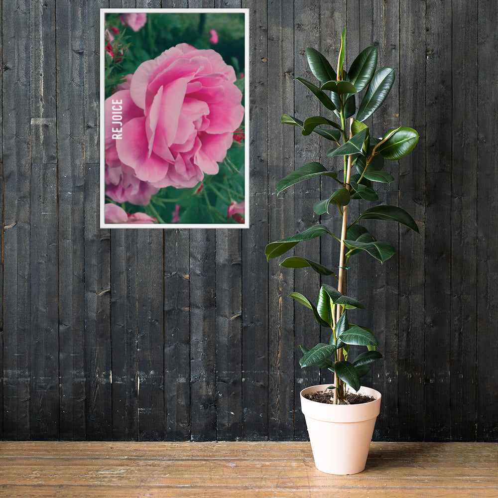 Rejoice Pink Rose Framed Poster