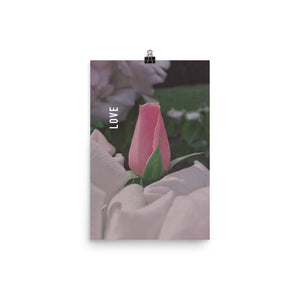 Love Pink Rose Poster