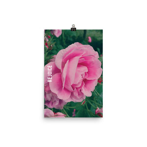 Rejoice Pink Rose Poster