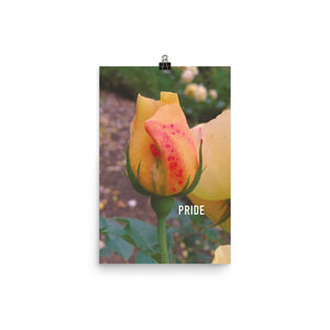 Pride Yellow Rose Poster