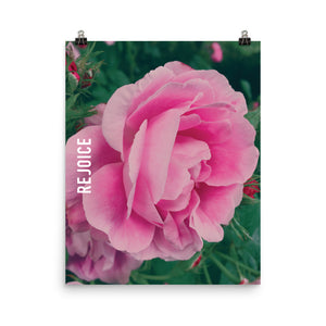 Rejoice Pink Rose Poster