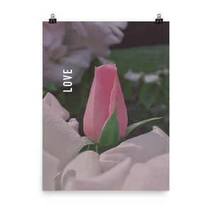 Love Pink Rose Poster