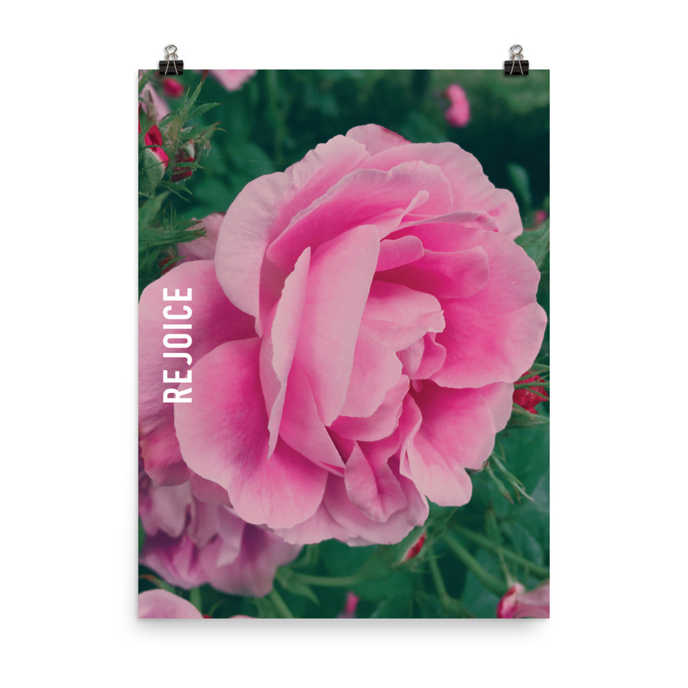 Rejoice Pink Rose Poster