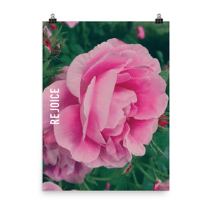 Rejoice Pink Rose Poster