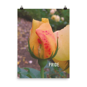 Pride Yellow Rose Poster