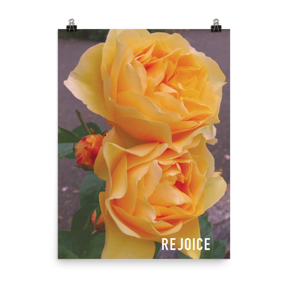 Rejoice Yellow Rose Poster