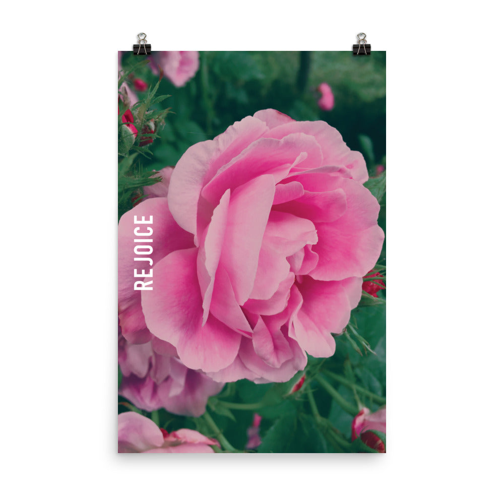 Rejoice Pink Rose Poster