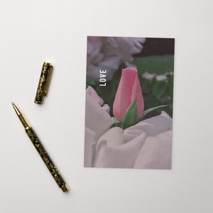 Love Pink Rose Postcard