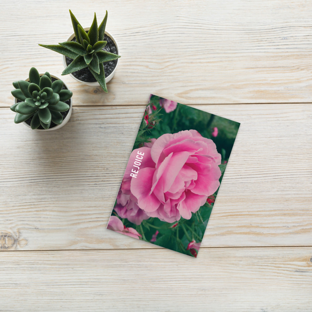 Rejoice Pink Rose Postcard