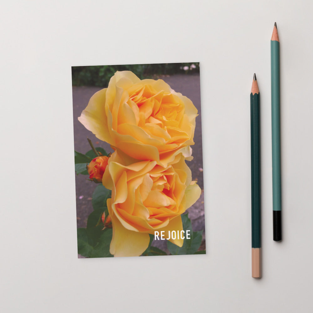 Rejoice Yellow Rose Postcard